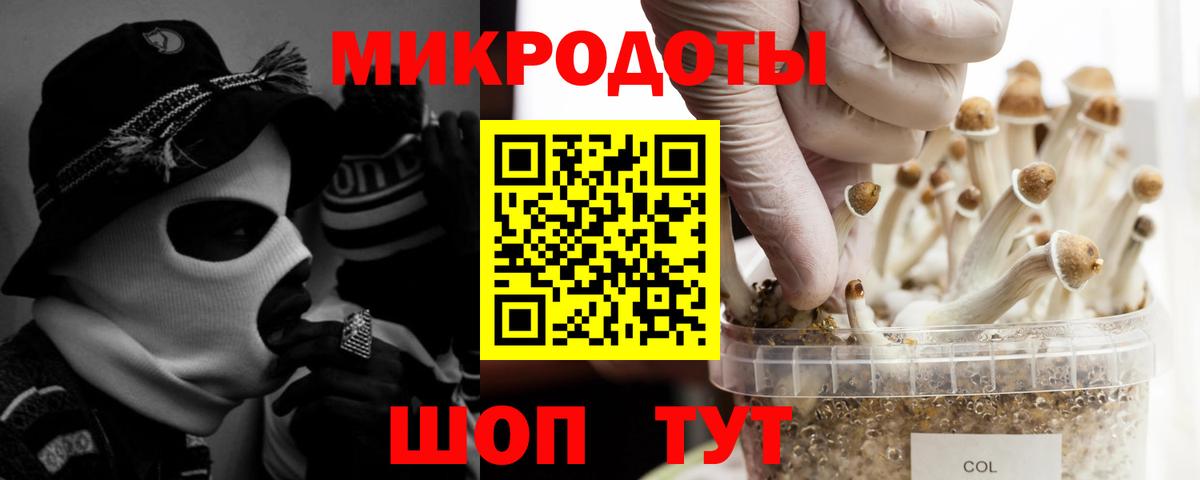 Галлюциногенные грибы MAGIC MUSHROOMS  Вход с VPN  где найти наркотики  Тосно  Галлюциногенные грибы MAGIC MUSHROOMS 